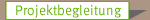 Projektbegleitung